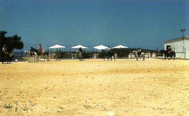 2500 sq metre horse riding arena